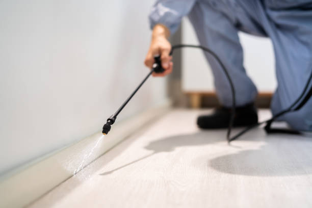 Bed Bug Pre-Treatment Preparation Assessment in West Wood