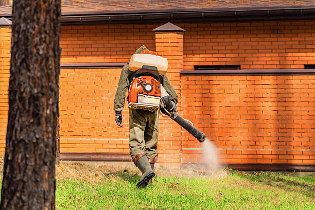 Bed Bug Clearance Verification and Documentation in West Wood